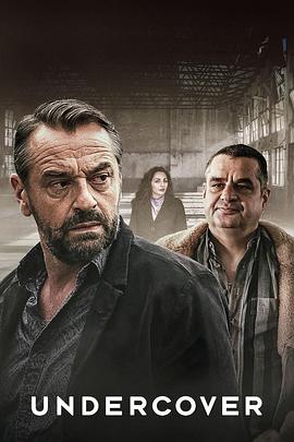 卧底第二季