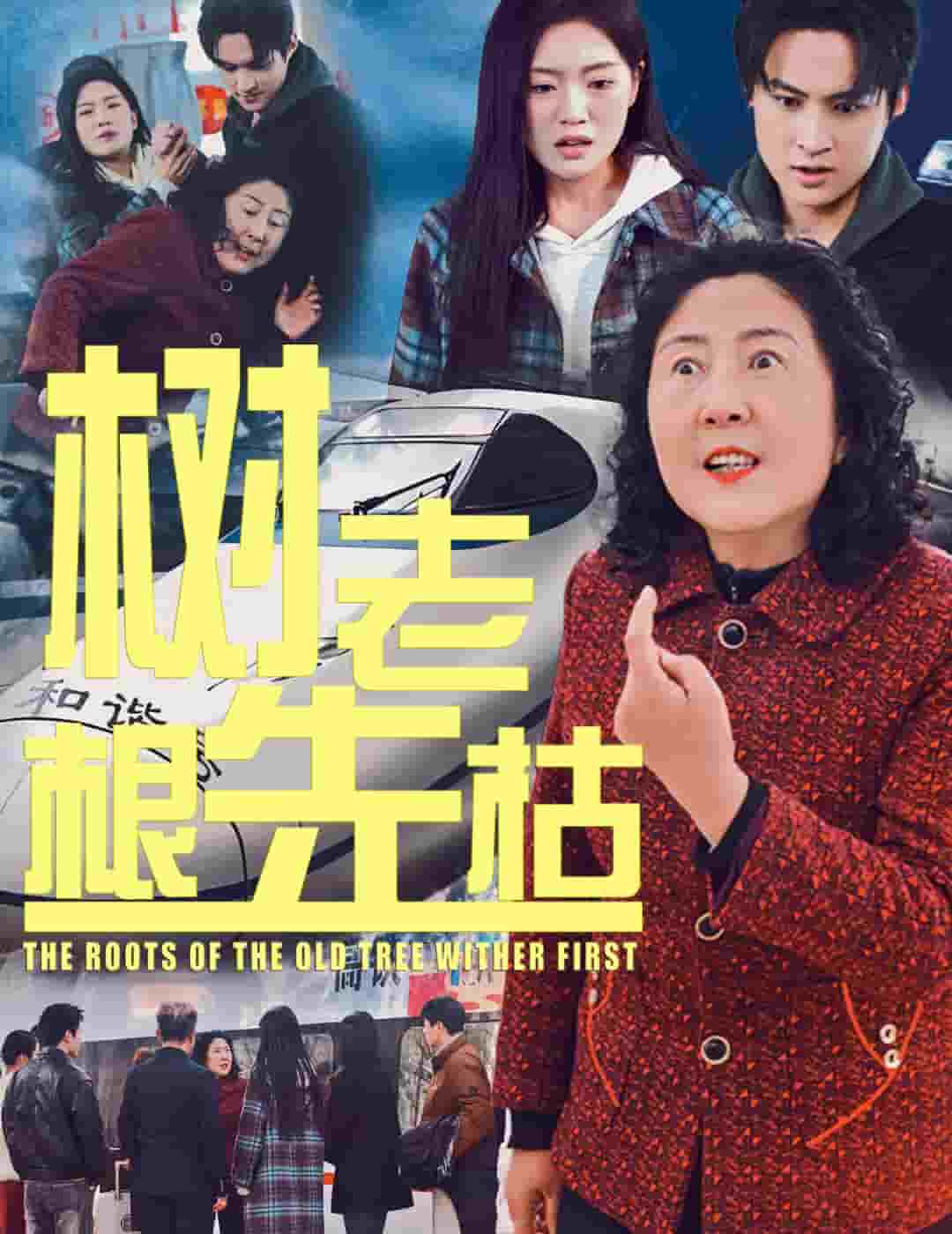 树老根先枯